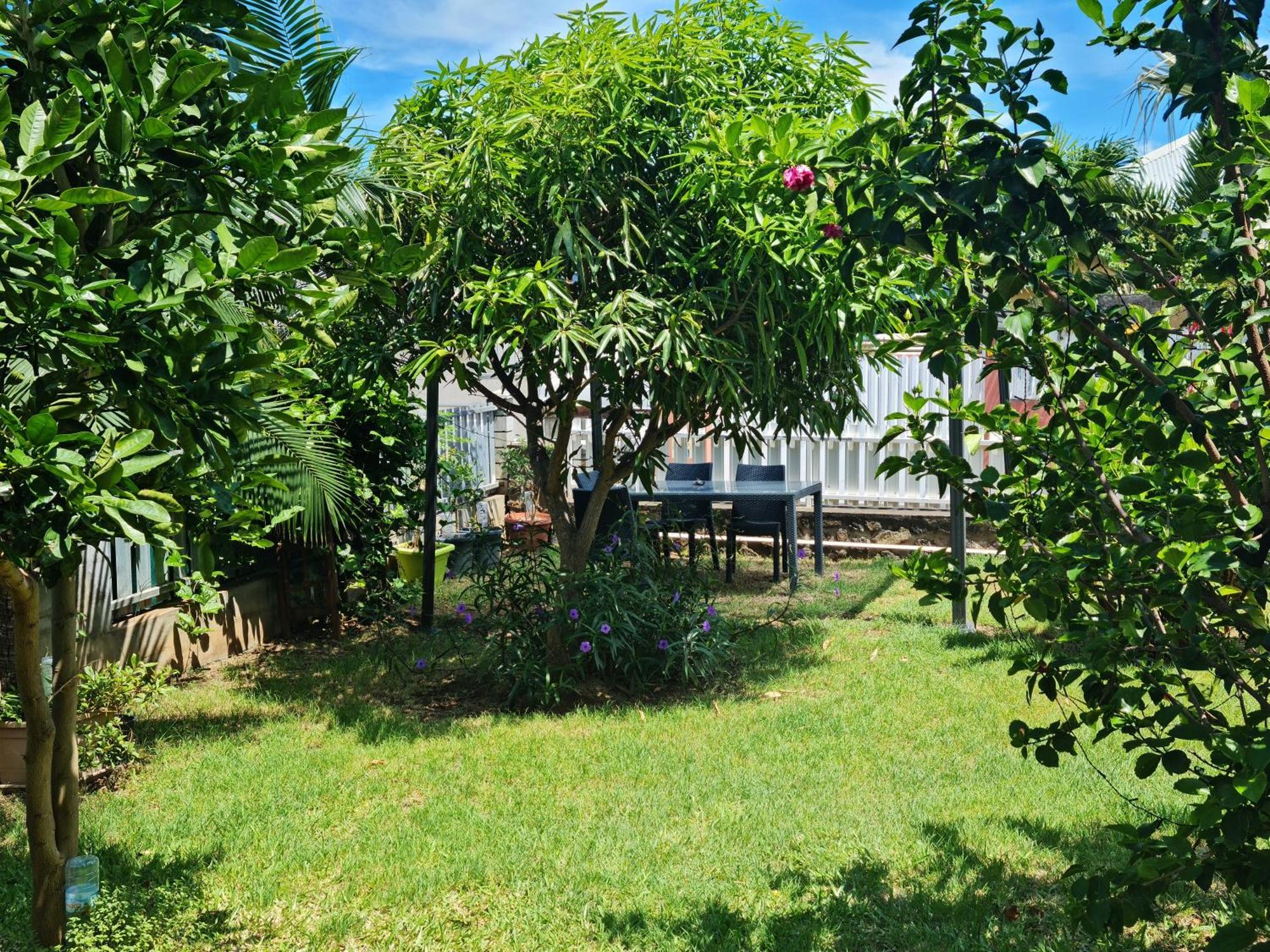 Zoizo Vert - Studio Au Calme Avec Jardin - St Leu Saint-Leu Exterior photo